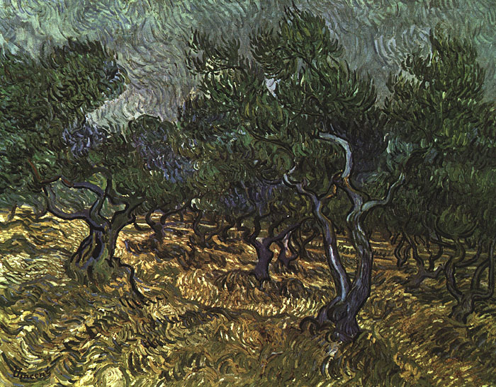 Vincent Van Gogh The Olive Grove